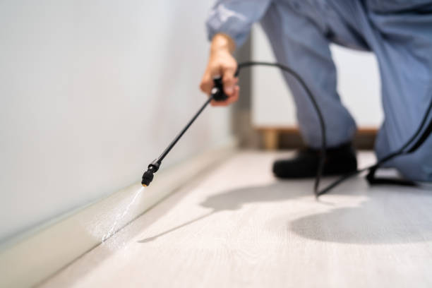 Professional exterminator conducting IPM assessment in Junction City
