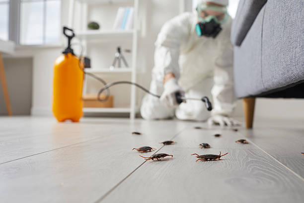 Commercial Kitchen Cockroach Control in Junction City